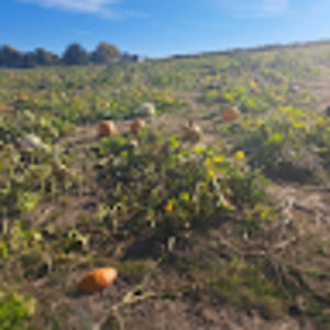 Meet your Posher, Angie